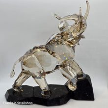 Lade das Bild in den Galerie-Viewer, SWAROVSKI Soulmates Elefant 1120446 1166236