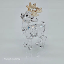 Lade das Bild in den Galerie-Viewer, SWAROVSKI Santas Rentier 5223261