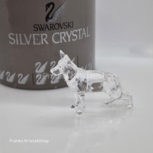 Lade das Bild in den Galerie-Viewer, SWAROVSKI Schäferhund 235484