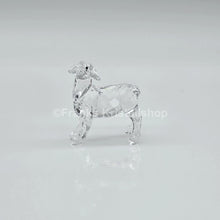 Lade das Bild in den Galerie-Viewer, SWAROVSKI Weihnachtskrippe Schaf 5298145