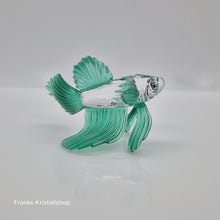 Lade das Bild in den Galerie-Viewer, SWAROVSKI Schleierkampffisch Grün 261259