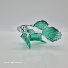 Lade das Bild in den Galerie-Viewer, SWAROVSKI Schleierkampffisch Grün 261259