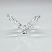 Lade das Bild in den Galerie-Viewer, SWAROVSKI Paradise Schmetterling Crystal Klar 840429