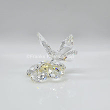 Lade das Bild in den Galerie-Viewer, SWAROVSKI Schmetterling auf Blume 840190