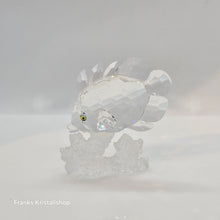 Lade das Bild in den Galerie-Viewer, SWAROVSKI Schmetterlingsfisch 162888