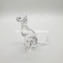 Lade das Bild in den Galerie-Viewer, SWAROVSKI Siamkatze 5135918