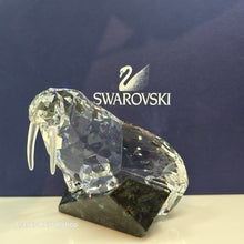 Lade das Bild in den Galerie-Viewer, SWAROVSKI Soulmates Walross 874620