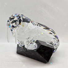 Lade das Bild in den Galerie-Viewer, SWAROVSKI Soulmates Walross 874620