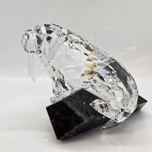 Lade das Bild in den Galerie-Viewer, SWAROVSKI Soulmates Walross 874620