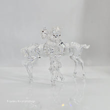 Lade das Bild in den Galerie-Viewer, SWAROVSKI Spielende Fohlen Klar 627637