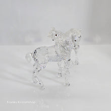 Lade das Bild in den Galerie-Viewer, SWAROVSKI Spielende Fohlen Klar 627637