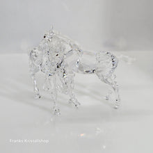 Lade das Bild in den Galerie-Viewer, SWAROVSKI Spielende Fohlen Klar 627637
