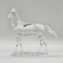 Lade das Bild in den Galerie-Viewer, SWAROVSKI Stute 860864 oU