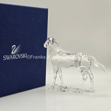 Lade das Bild in den Galerie-Viewer, SWAROVSKI Stute 860864 oU