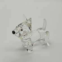 Lade das Bild in den Galerie-Viewer, SWAROVSKI Terrier 158416