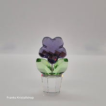Lade das Bild in den Galerie-Viewer, SWAROVSKI Blumenträume Veilchen im Blumentopf 855897 oU