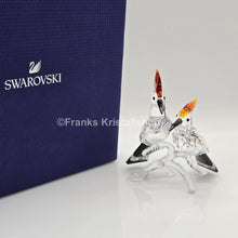 Lade das Bild in den Galerie-Viewer, SWAROVSKI Wiedehopfe 925080