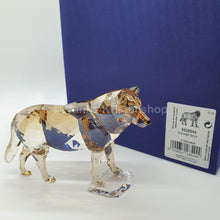 Lade das Bild in den Galerie-Viewer, SWAROVSKI SCS Jahresfigur 2019 Grauer Wolf 5428544