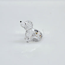 Lade das Bild in den Galerie-Viewer, SWAROVSKI Asian Symbols Zodiac Hund 622843