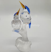 Lade das Bild in den Galerie-Viewer, SWAROVSKI Eisvögel Zwerghaubenfischer 623323 oU