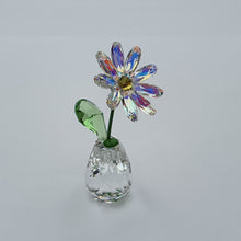 Lade das Bild in den Galerie-Viewer, SWAROVSKI Blumenträume Gänseblümchen Daisy - Sonderausgabe 5529233