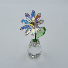 Lade das Bild in den Galerie-Viewer, SWAROVSKI Blumenträume Gänseblümchen Daisy - Sonderausgabe 5529233