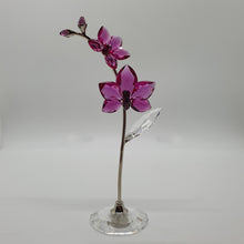 Lade das Bild in den Galerie-Viewer, SWAROVSKI BLUMENTRÄUME | Orchidee groß