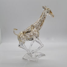 Lade das Bild in den Galerie-Viewer, SWAROVSKI Giraffe 935896 oE
