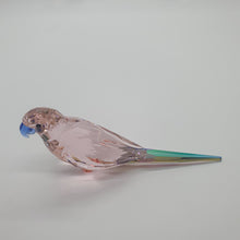 Lade das Bild in den Galerie-Viewer, SWAROVSKI Jungle Beats Bourkesittich Cha Cha 5557848