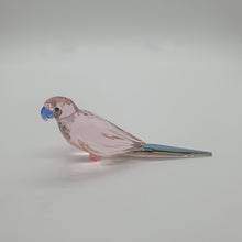 Lade das Bild in den Galerie-Viewer, SWAROVSKI Jungle Beats Bourkesittich Cha Cha 5557848