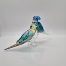 Lade das Bild in den Galerie-Viewer, SWAROVSKI Jungle Beats Fife & Fifer Sittiche 5577124