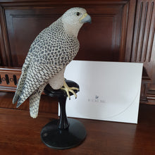 Lade das Bild in den Galerie-Viewer, SWAROVSKI Myriad Falke Kedari klein