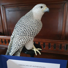 Lade das Bild in den Galerie-Viewer, SWAROVSKI Myriad Falke Kedari klein