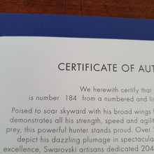 Lade das Bild in den Galerie-Viewer, SWAROVSKI Myriad Falke Kedari klein