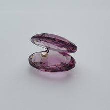 Lade das Bild in den Galerie-Viewer, SWAROVSKI Muschel mit Perle Violett Sonderausgabe 5526147