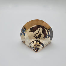 Lade das Bild in den Galerie-Viewer, SWAROVSKI SCS Löwe Akili 2016 Briefbeschwerer 5135901