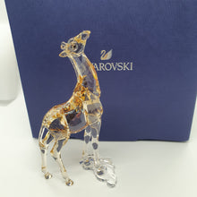 Lade das Bild in den Galerie-Viewer, SWAROVSKI SCS Jahresfigur 2018 Mudiwa Giraffenbaby 5302151