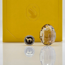 Lade das Bild in den Galerie-Viewer, SWAROVSKI SCS Straußenei Makena + Pin Gepard Mehira 2023 EVENT 5646024
