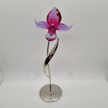 Lade das Bild in den Galerie-Viewer, SWAROVSKI Blumenträume Dorora Blume 681542