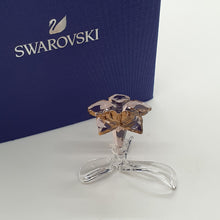 Lade das Bild in den Galerie-Viewer, SWAROVSKI SCS Sonderausgabe - Die stehende Wüstenrose 5557915