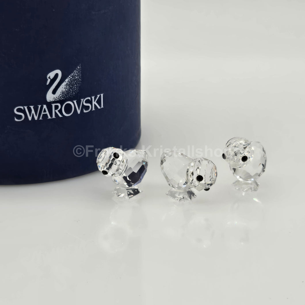 SWAROVSKI Küken 3er Set 014824