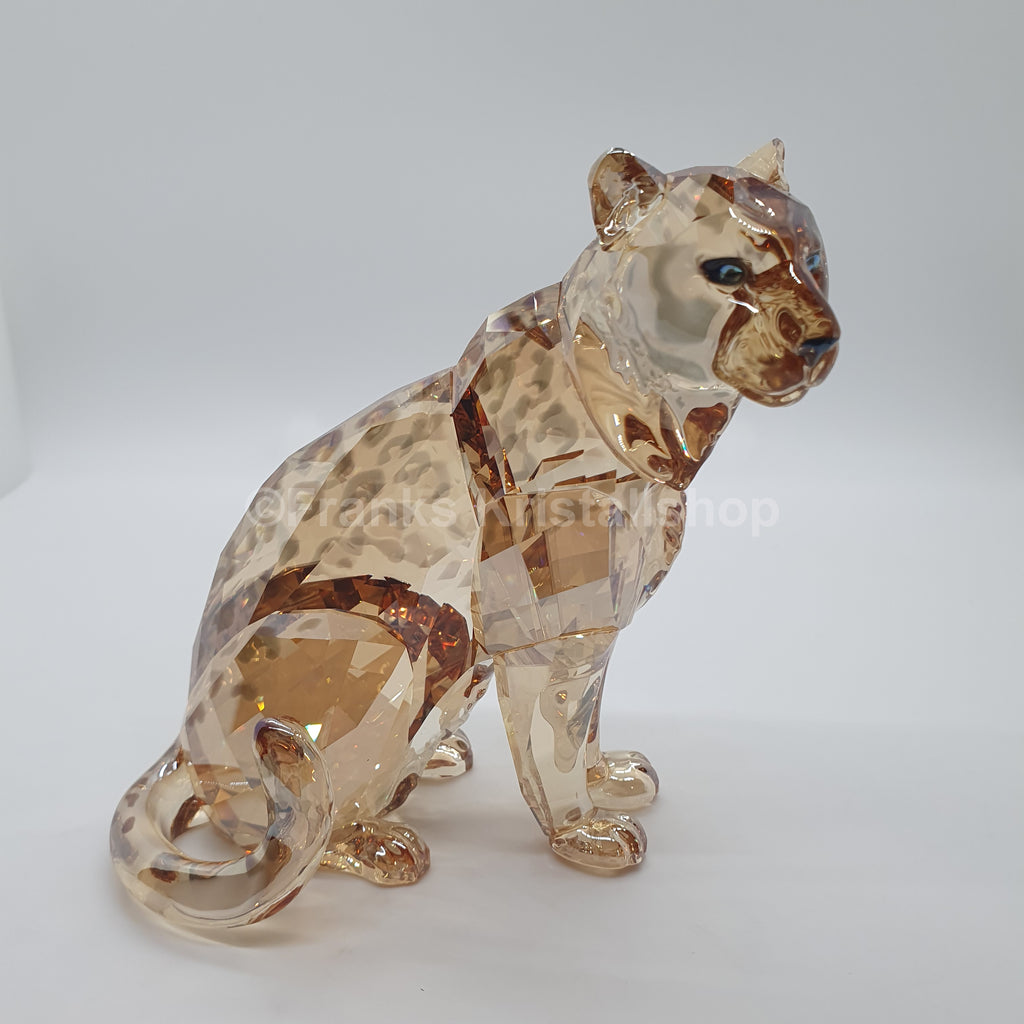 SWAROVSKI SCS Amur Leopard Sofia 2019 5428541