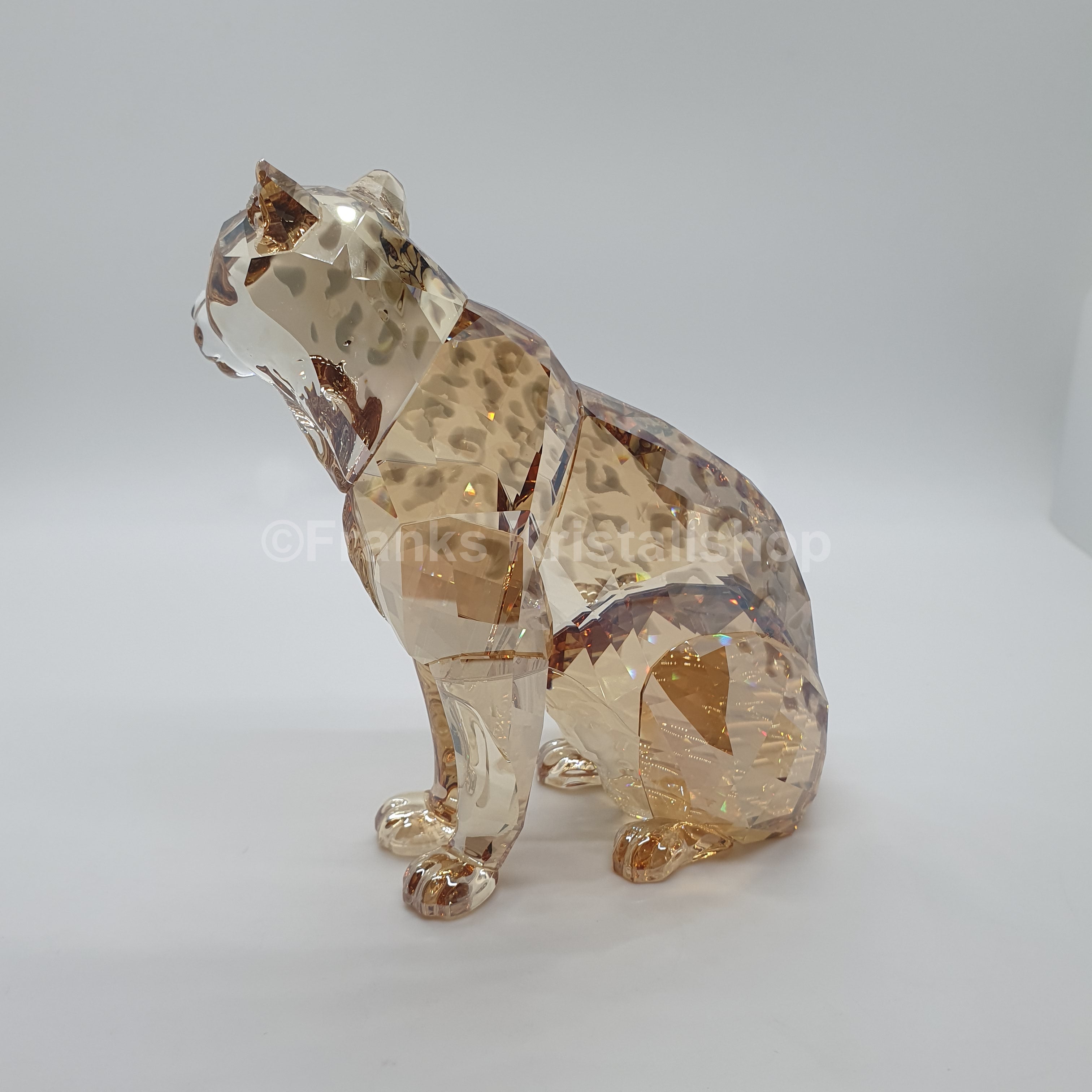 SWAROVSKI SCS Amur Leopard Sofia 2019 5428541