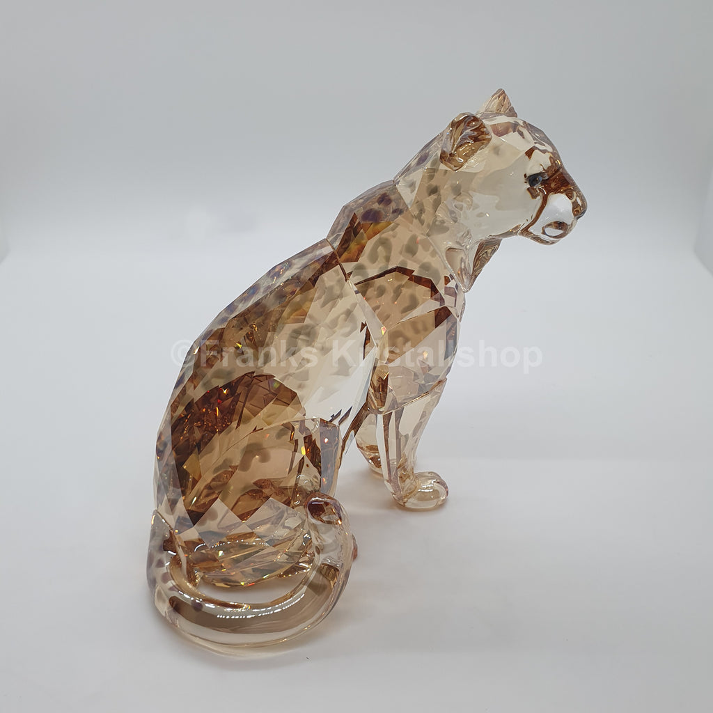SWAROVSKI SCS Amur Leopard Sofia 2019 5428541
