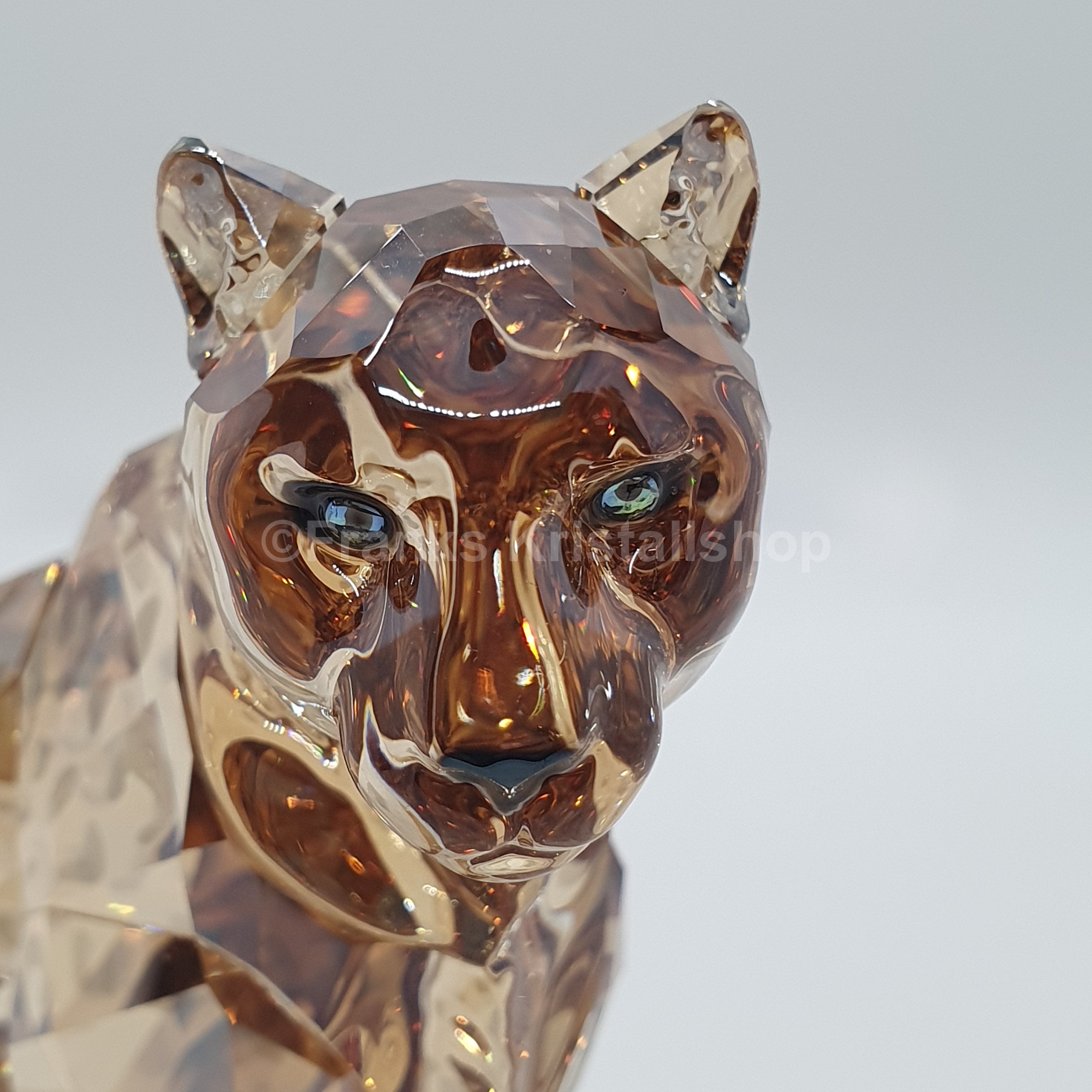 SWAROVSKI SCS Amur Leopard Sofia 2019 5428541