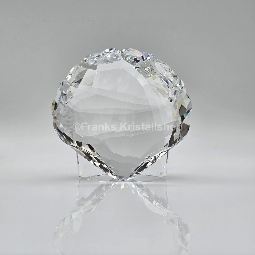 SWAROVSKI Archenmuschel Muschel 5136841