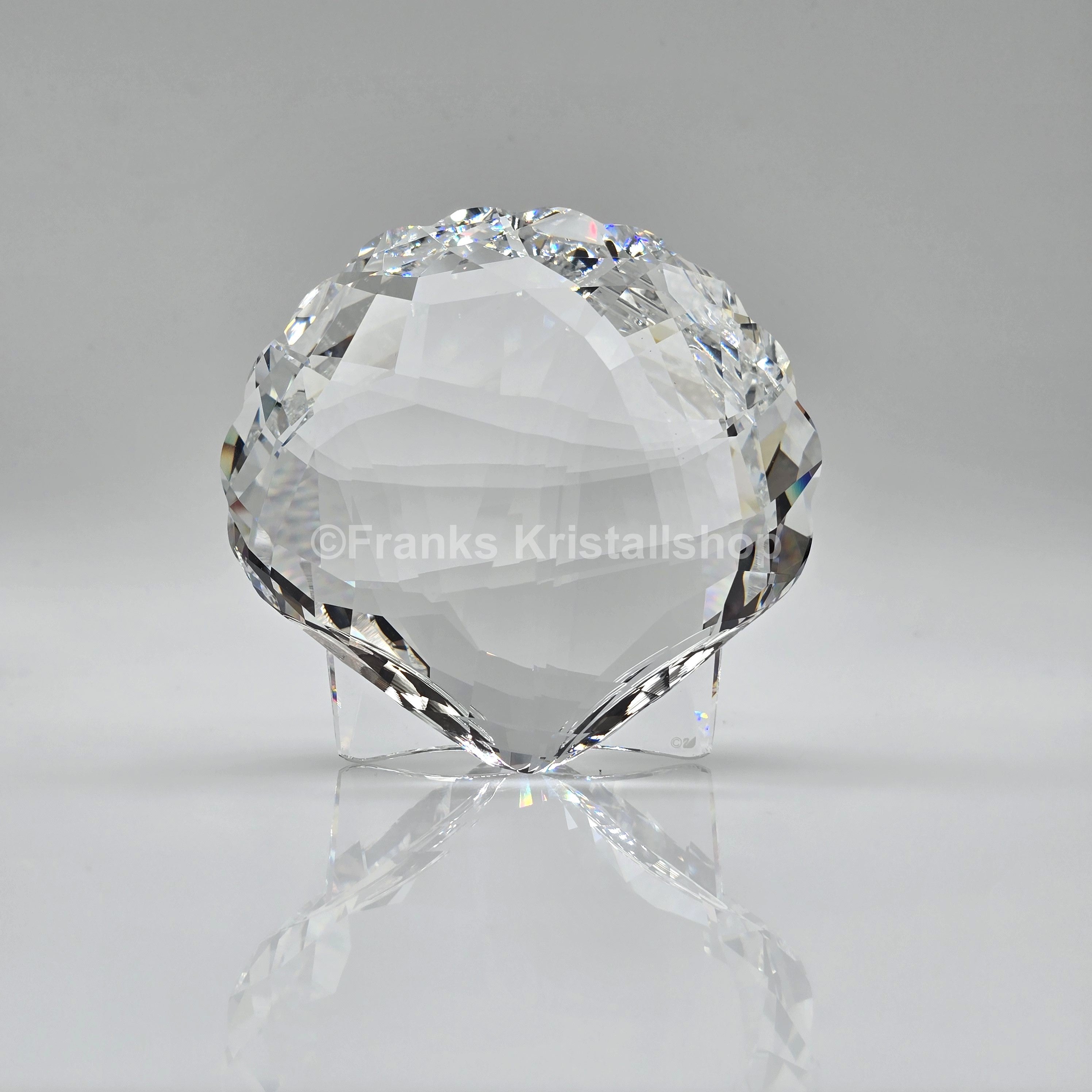 SWAROVSKI Archenmuschel Muschel 5136841