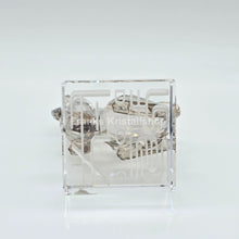 Lade das Bild in den Galerie-Viewer, SWAROVSKI Asian Symbols Zodiak Hund 1. Generation Silver Shade 996419
