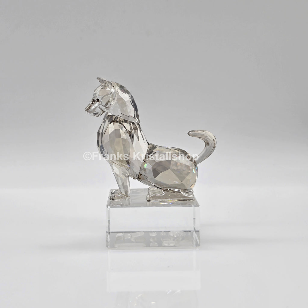 SWAROVSKI Asian Symbols Zodiak Hund 9963419 oU