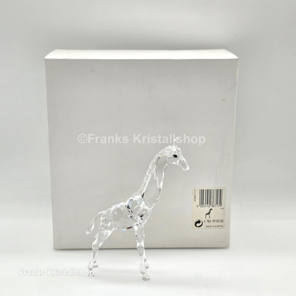 SWAROVSKI Baby Giraffe 236717